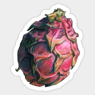 Pitaya the Dragon fruit - hand drawn Sticker